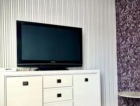 Вид квартиры на сутки, Витебск, пр. Фрунзе 40 — фото 3
