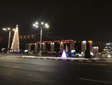 Квартира посуточно Витебск, пр. Московский 8 — фото интерьера